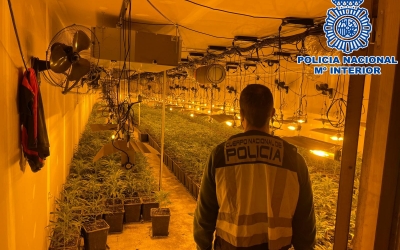 Imatge de la plantació desmantellada | Policia Nacional